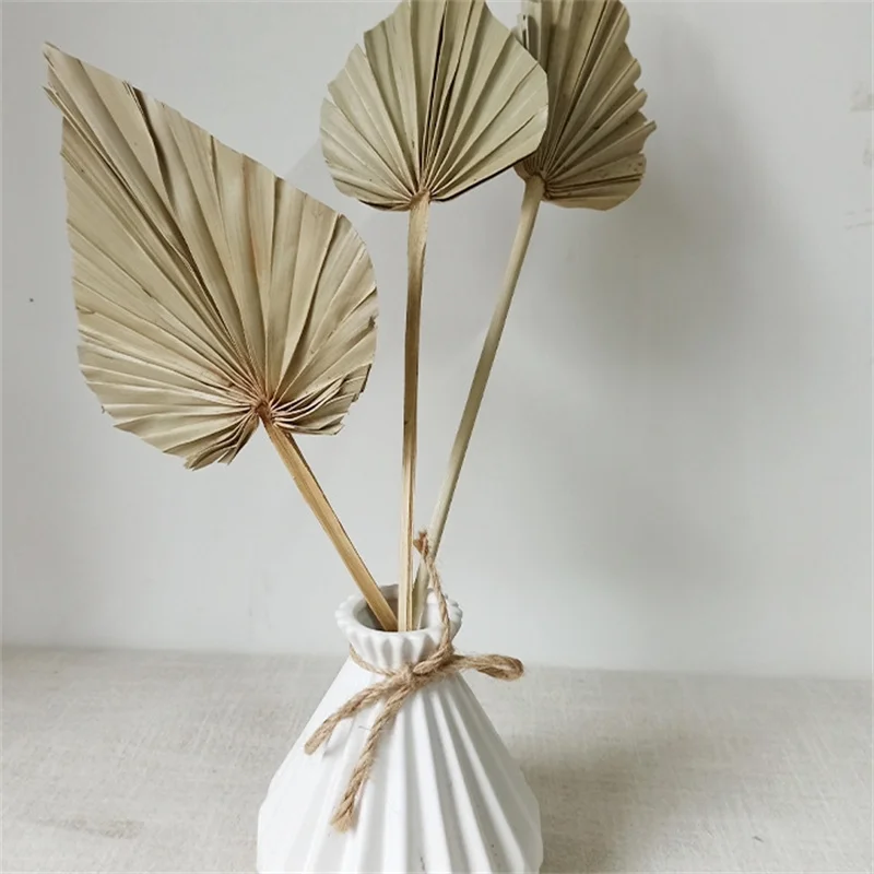 1/2PCS Palm Fan Leaf Dried Flower Palm Leaves In Different Shapes Pampas Grasses Branches DIY Wedding Decorations Home Decora