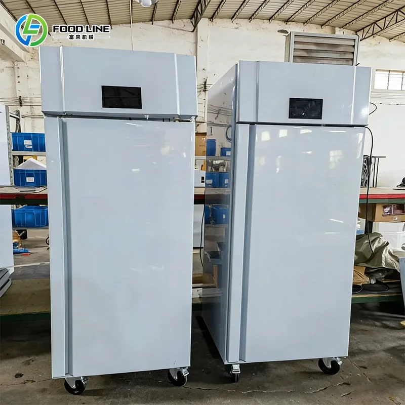 Commercial Frost-Free Rapid Defrosting Machine, Food Defrosting Equipment for Hotel Kitchens Customized