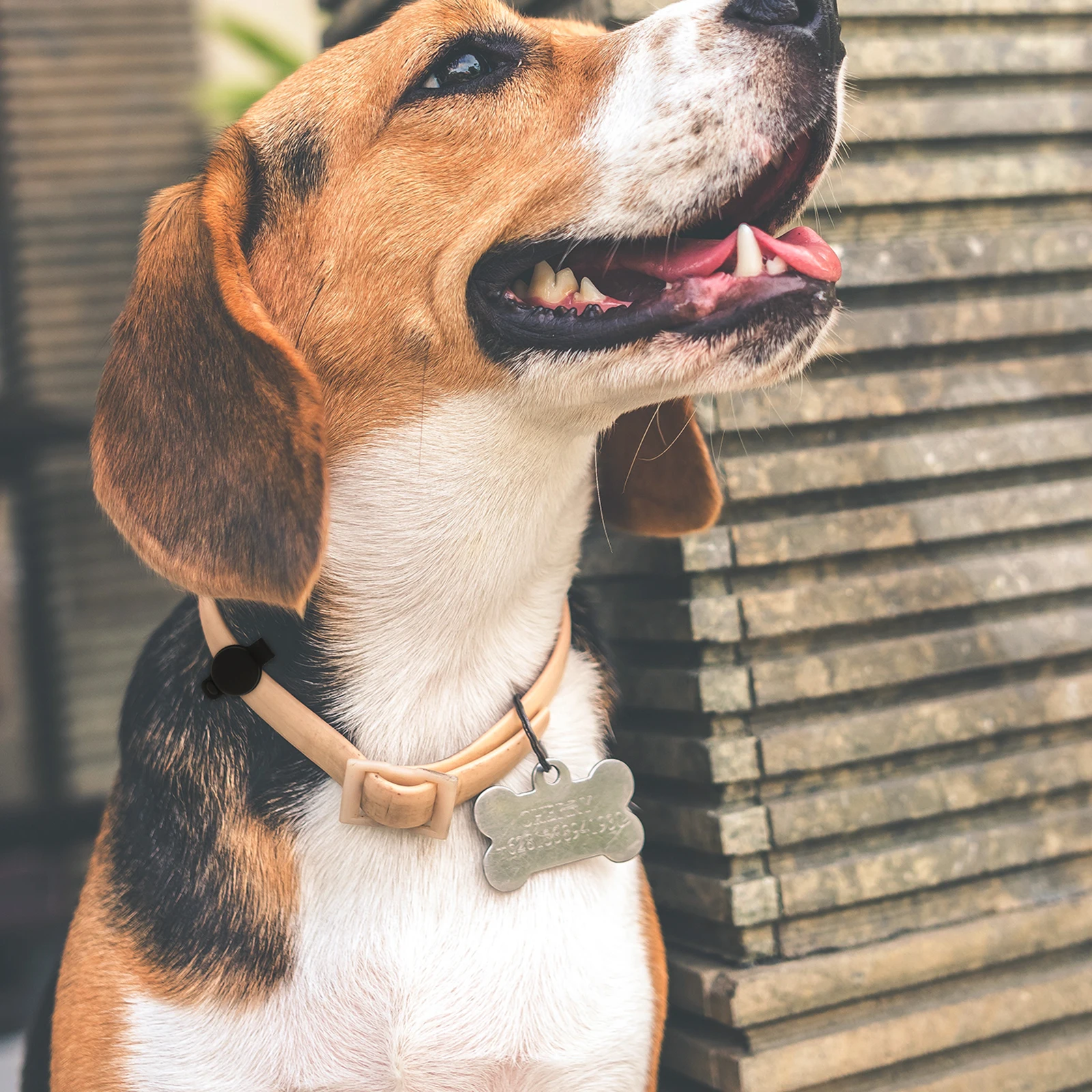 

Holders Pet Collar Clip Protective Cover Gel Tracer Sleeve