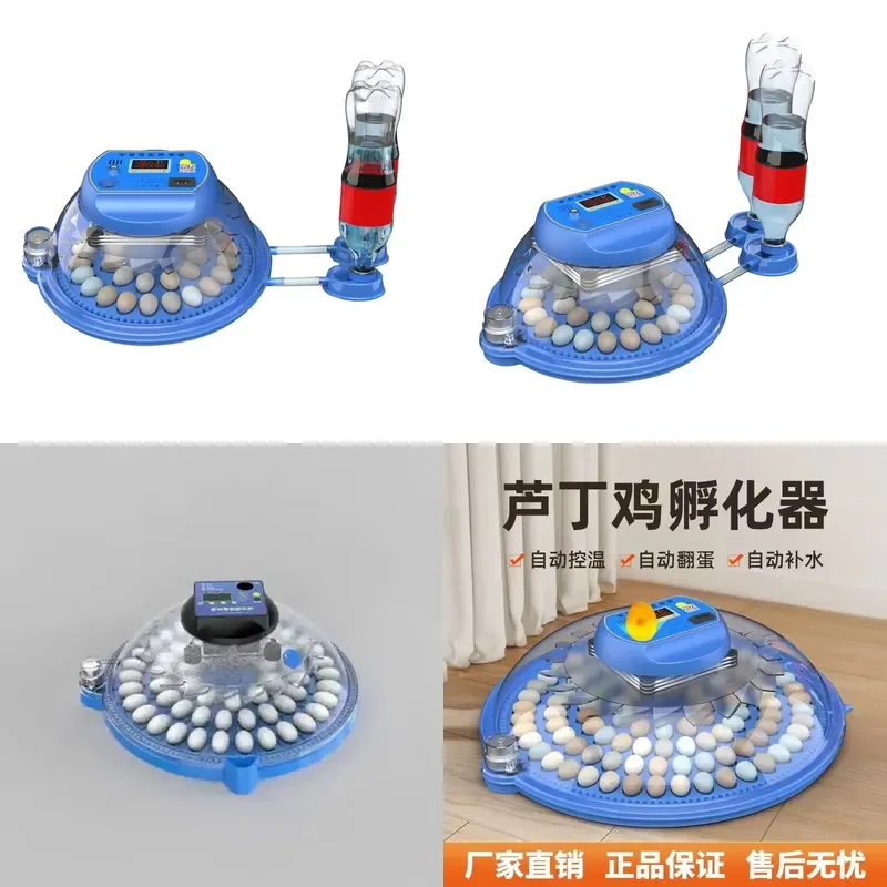 30 Egg Automatic Incubator for King Quail Poultry Eggs Hatching Machine Digital Temperature Control Hatchery Equipment