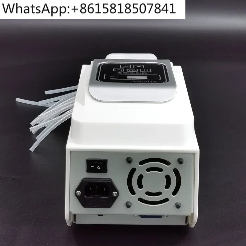 BT100-2J Multi-head peristaltic pump