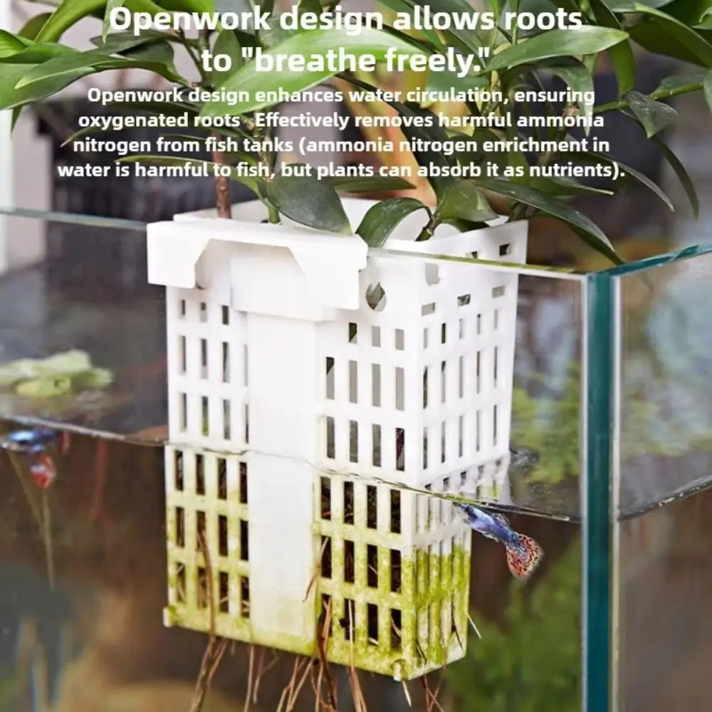 Adjustable Height Aquarium Plant Holder Transparent Extendable Hook Fish Tank Plant Holder Suction Cup