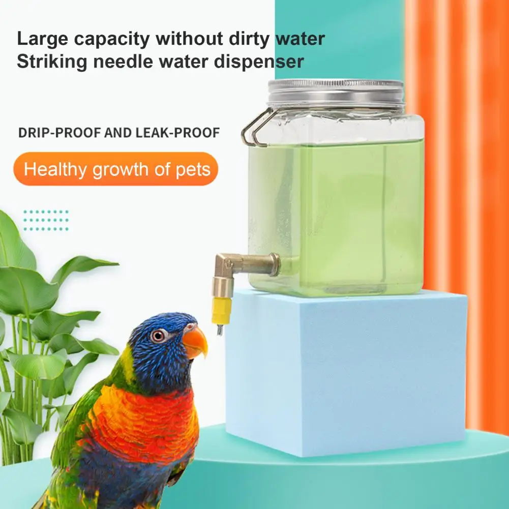 Food-grade Material Bird Drinker for Safe Hygienic Use Capacity Bird Drinker Parrot Water for Hassle-free for Parakeets