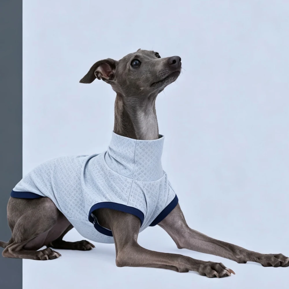 Chaleco refrescante verano para Galgo Italiano y Whippet – Transpirable - imagen 2