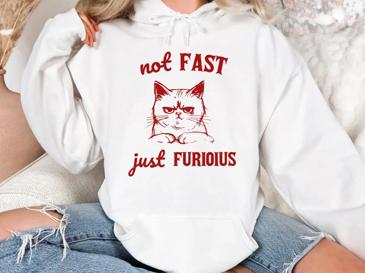 

Not Fast Just Furious Print Hoodies Men's and Women's Long Sleeve Sweatshirts Y2k Tops Autumn and Winter Pullover Women Clothing