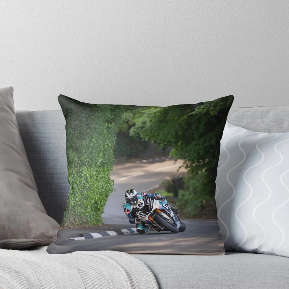 

Michael Dunlop Throw Pillow Pillowcase Cushion Pillow Decor pillow cover christmas