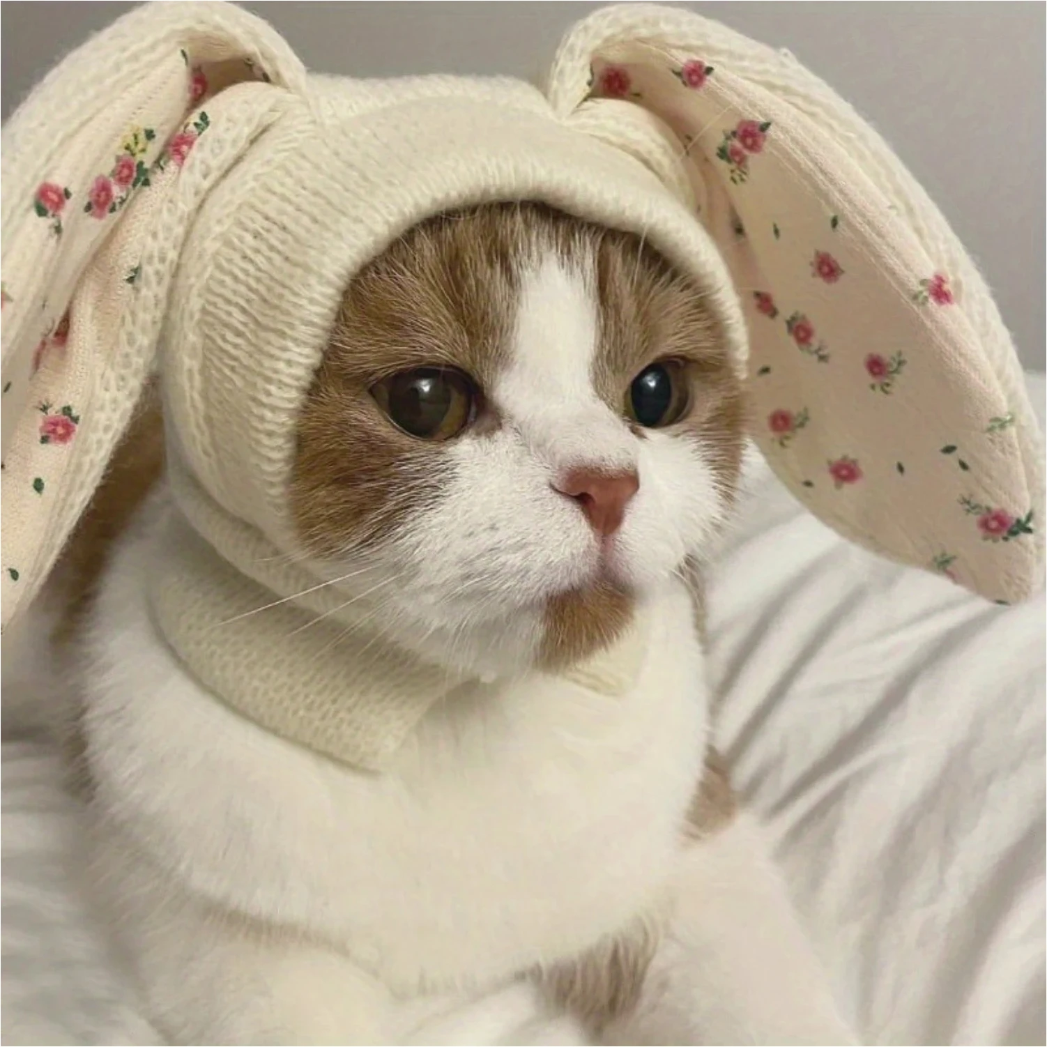 

1pc Cozy Bunny Ears Pet Hat for Dogs and Cats - Autumn/Winter Warmth and Style - Adorable Decorative Accessory