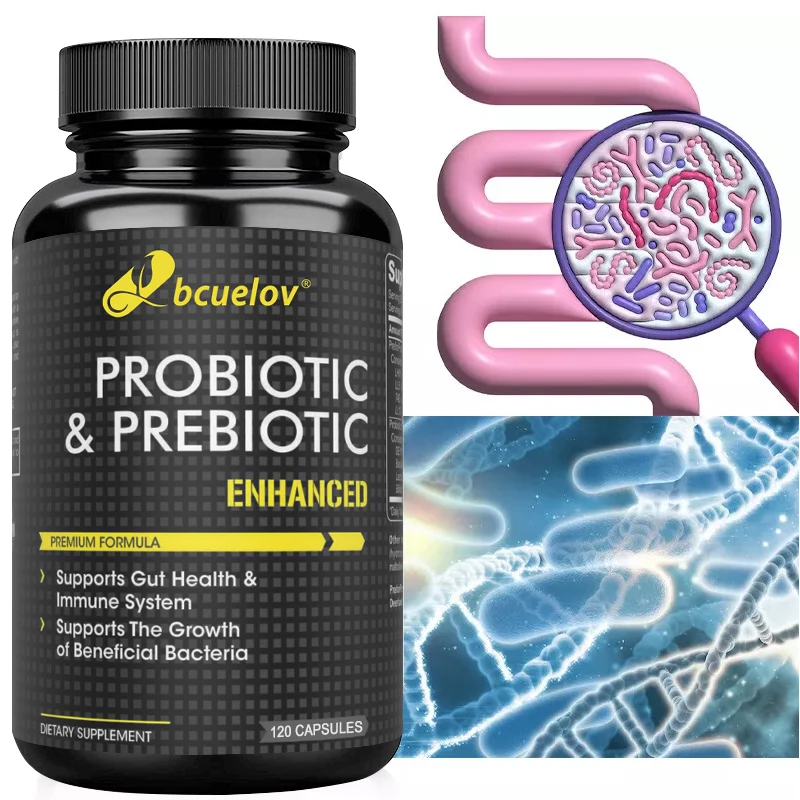 

Prebiotics Probiotics Capsules - Digestive Immune Support & Gut Health, Nutrient Absorption for Men & Women, Gluten-free Safe