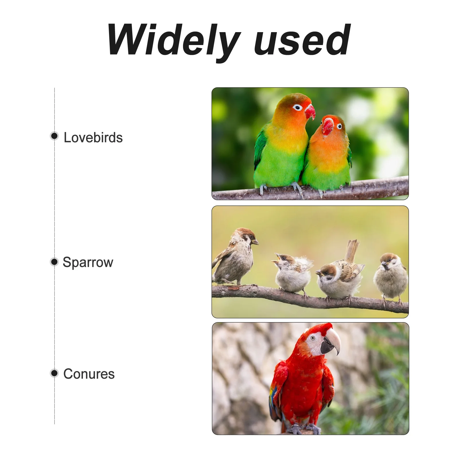 

Automatic Hummingbird Feeder with Roof Heavy Duty Outdoor Garden Bird Feeder for Wild Parrots Squirrels Hanging Yard Patio Feed