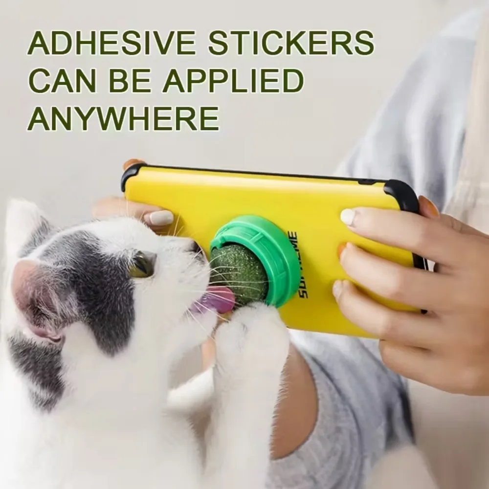 

Catnip Ball Cat Toy for Teeth Cleaning Teeth Grinding Licking Chewing Spinning Ball Interactive Play Pet Toy Catnip Pet Products