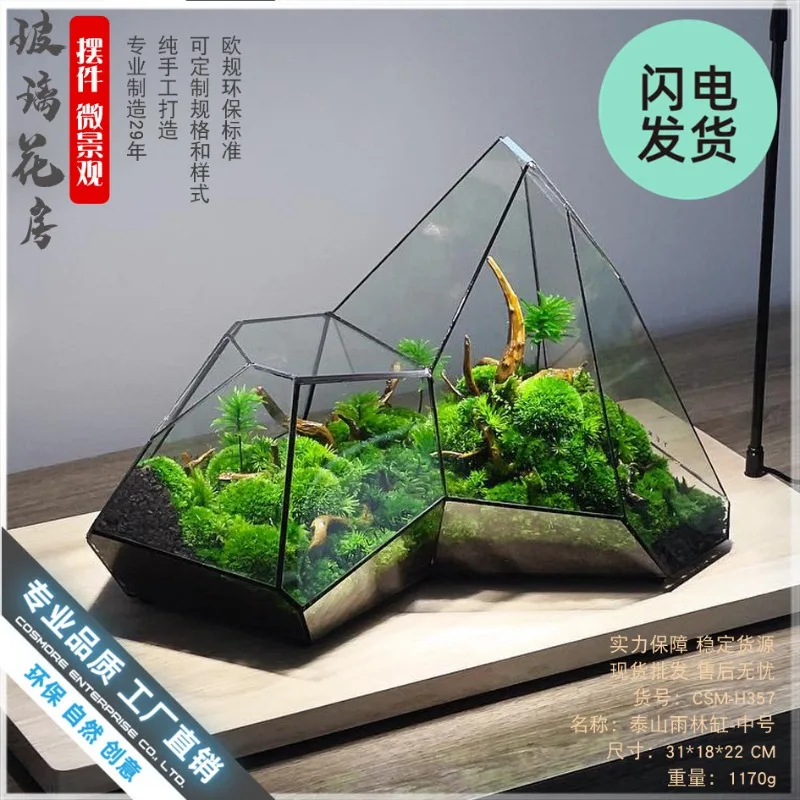 Micro landscape moss rainforest tank geometric glass flower house ecological bottle succulent aquatic plant tank flower pot