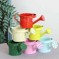 Mini Small Water Spraying Pot Garden Flower Kettle Metal Watering Can Sprinkled