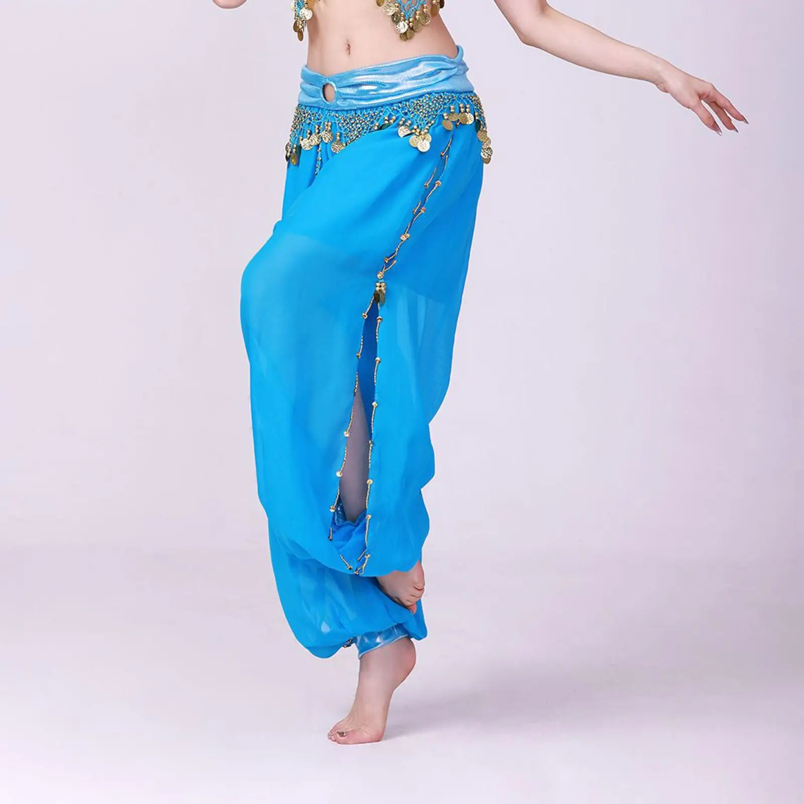 Chiffon Belly Dance Harem Pants Women Tribal Arabic Halloween Dance Performance Trousers Gold Trim Tassels Bellydance Costume