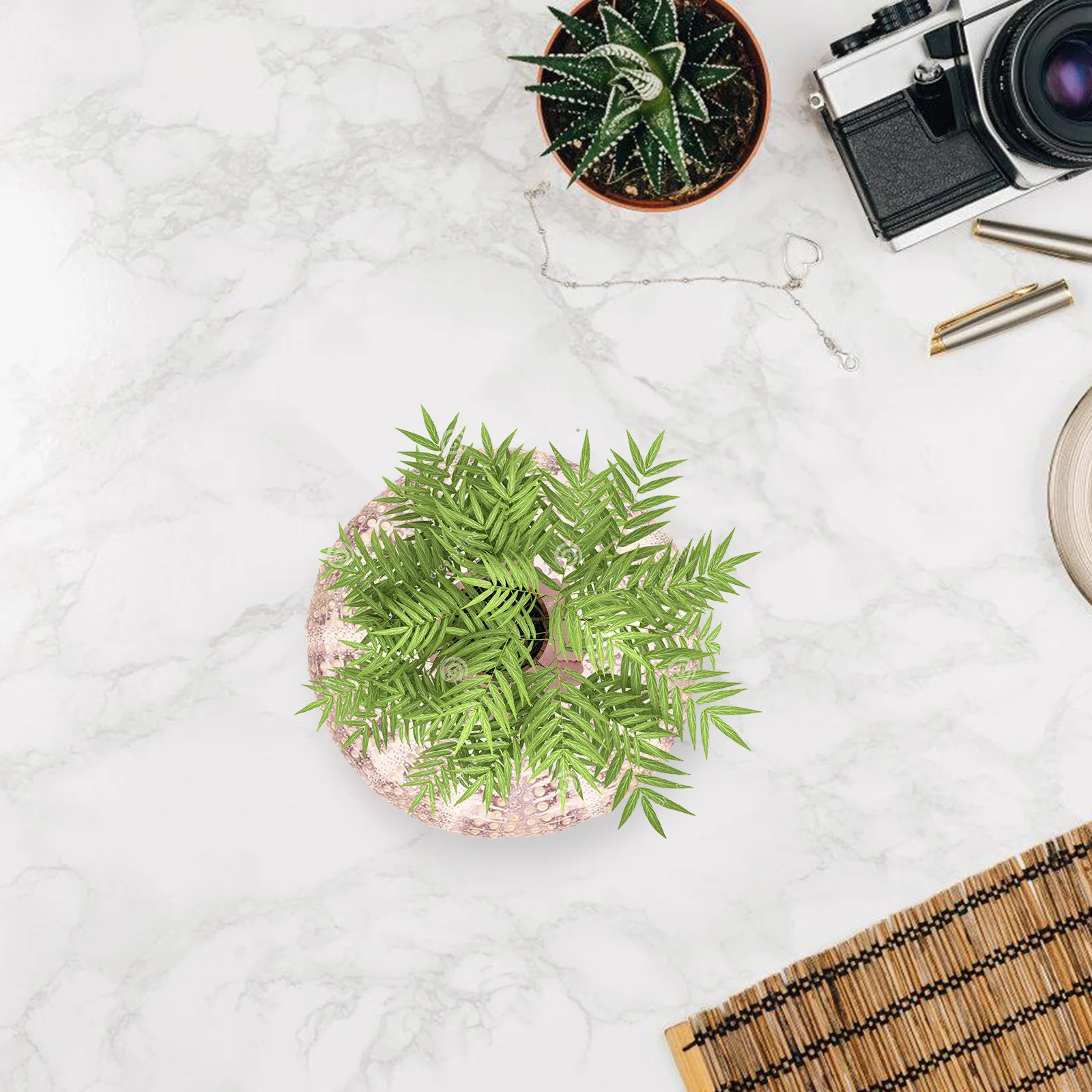 

7pcs Natural Sea Urchin Shell Air Plant Holders Mini Flower Pots For Succulents Desktop Decor Aquarium Landscape Home Garden