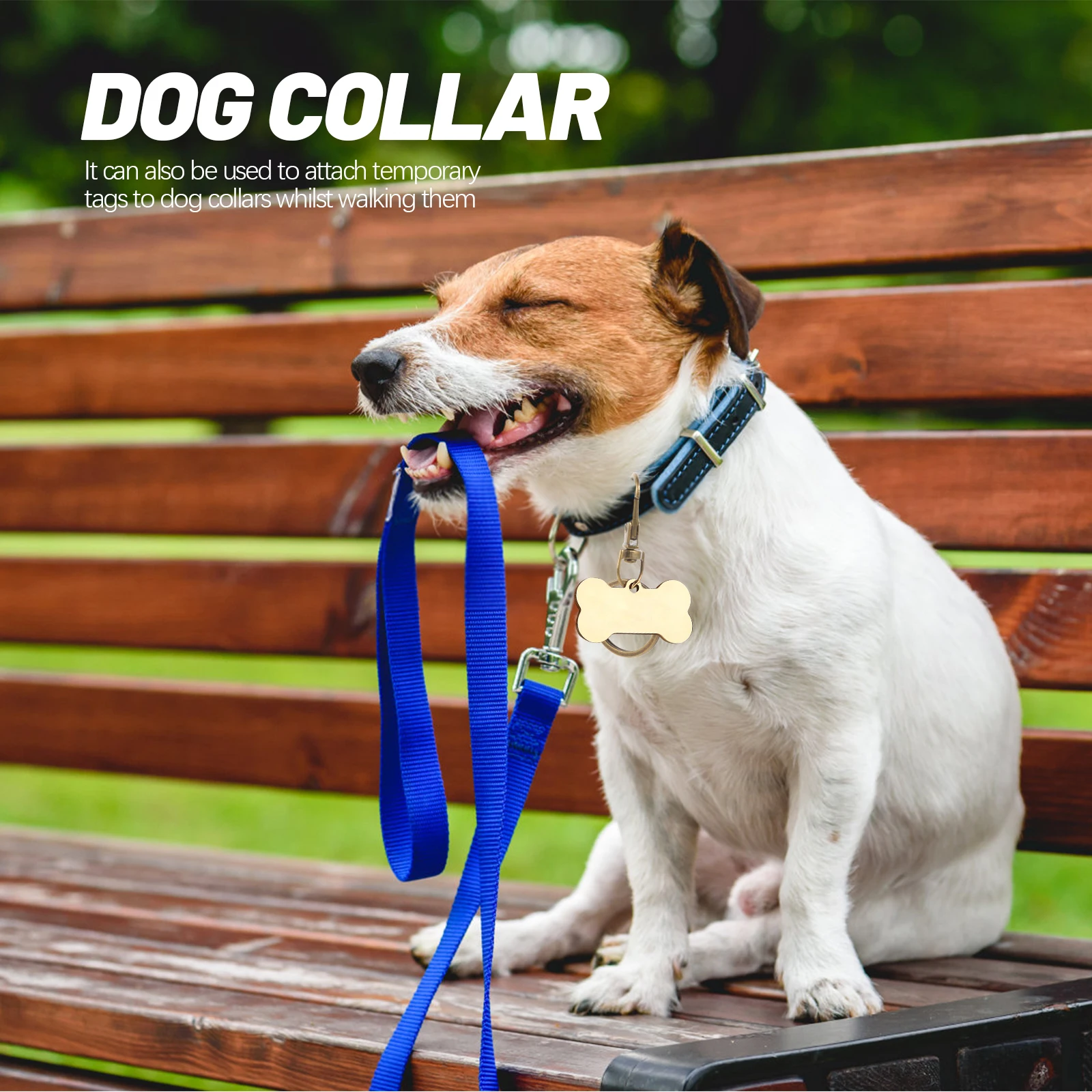 

60pcs Dog Buckle Key Rings Metal Keychain For Car Keys Home Holder Diy Zinc Alloy Temporary Tag Collar Use Pet Supplies