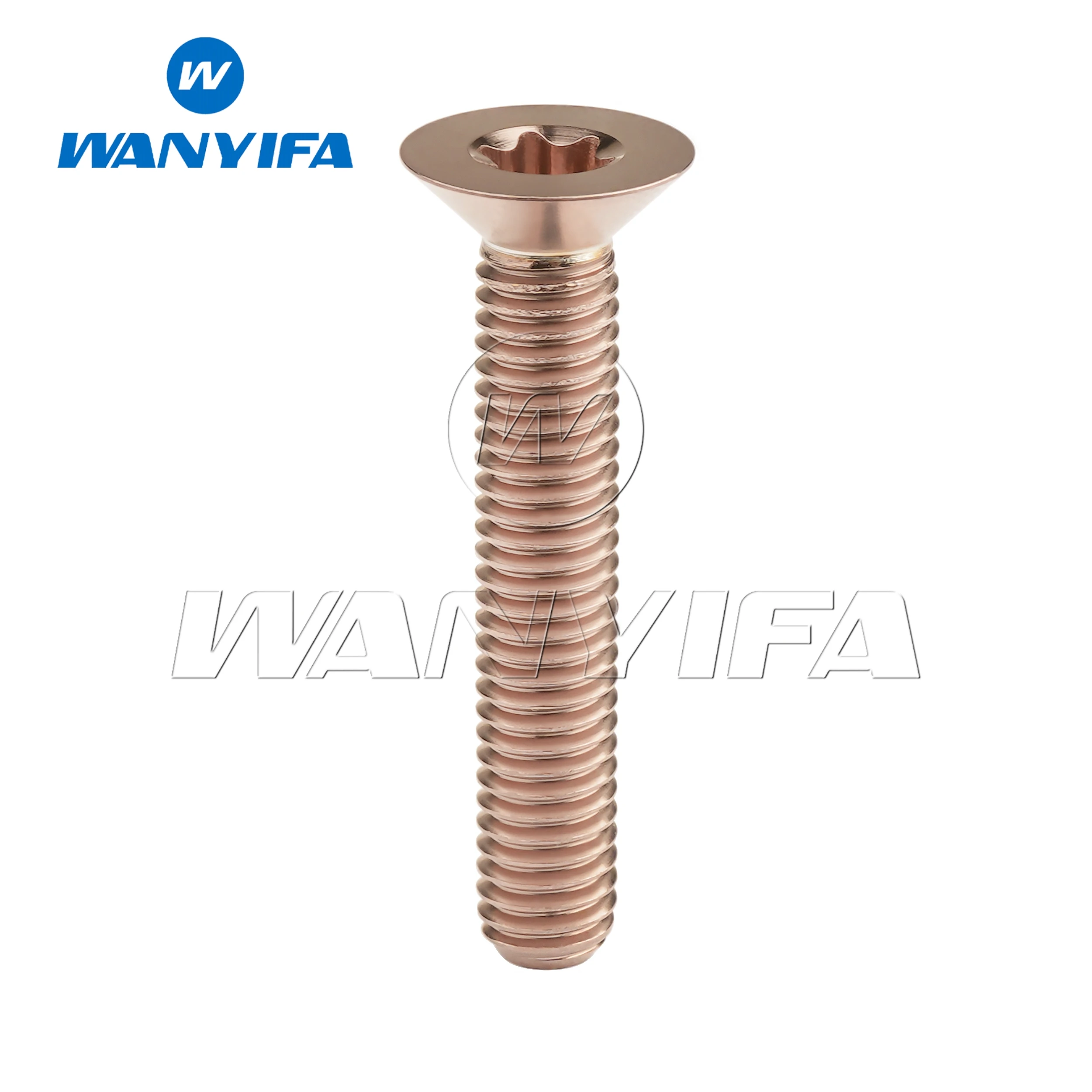 Wanyifa Titanschraube M4 M8x8 10 12 15 20 25 30 35 40 45 50 60 65 70 mm Torx-Senkkopfschraube für Fahrrad und Motorrad
