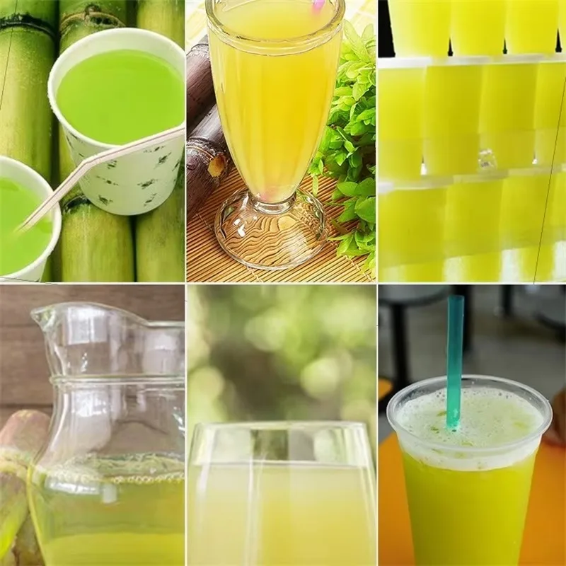 

110V 220V Automatic Sugar Cane Presser Juicer Easy Operation Sugarcane Squeezer Commercial or Household