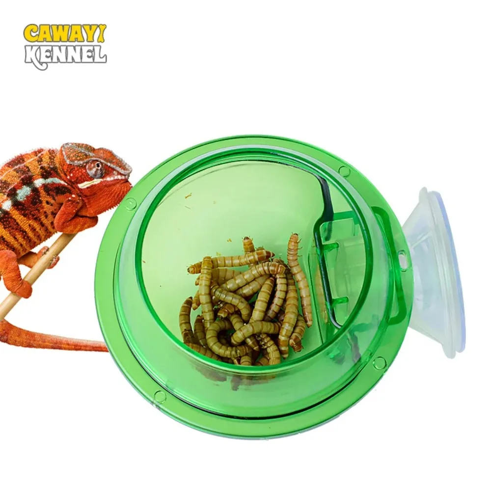 Suction Cup Reptile Feeding Bowl with Lid Wall Mounted Mealworm Feeder for Crested Gecko Chameleon Lizard Terrarium