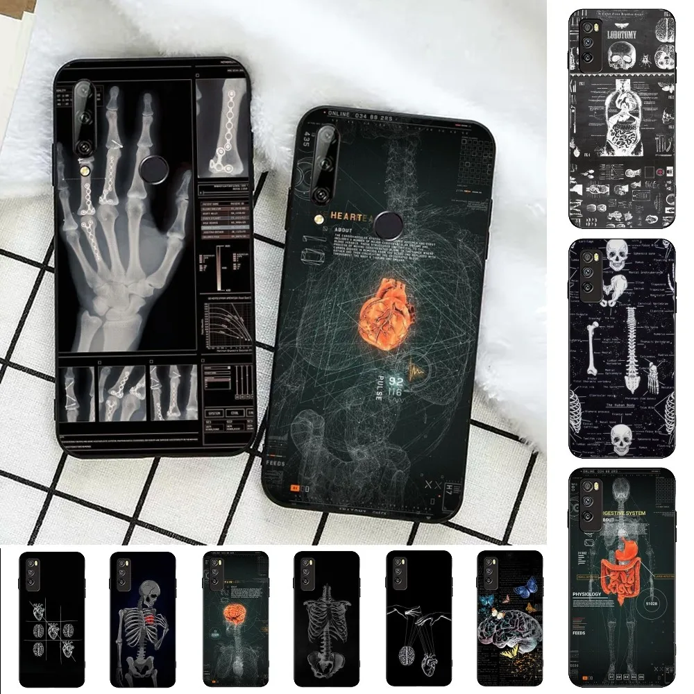 Radiological human organs Skeleton Phone Case For Huawei Honor 10 lite 9 20 7A pro 9X pro 30 pro 50 pro 60 pro 70 pro plus