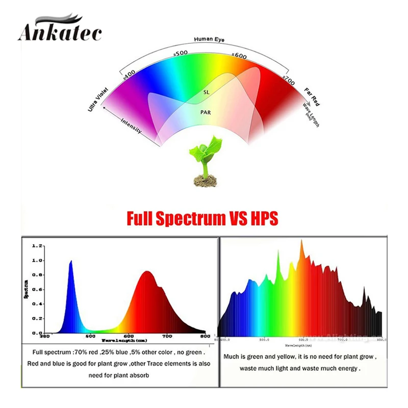 3 pz/lotto Full Spectrum 380-840nm LED COB Chip lampada perline 10W staffa in rame ad alta potenza 9-12V per pianta da serra coltiva la luce