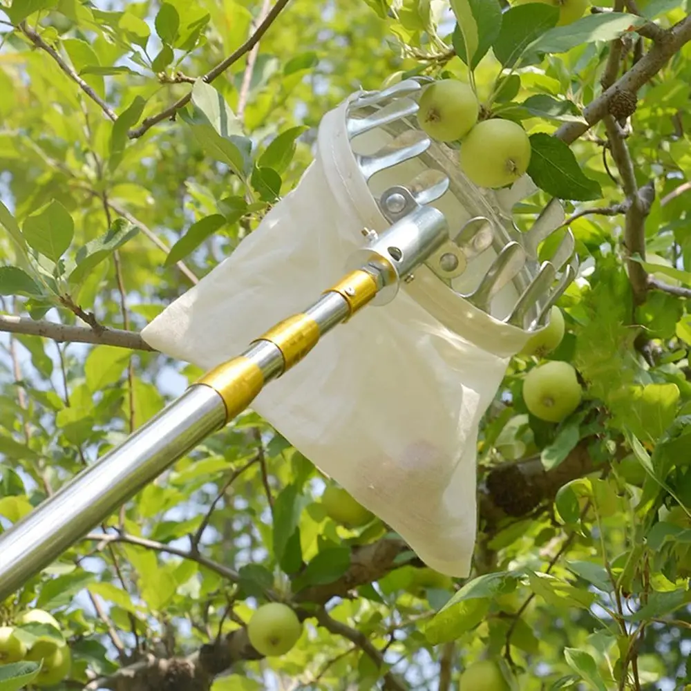 調節可能なフルーツ収穫ポールとバスケット - 果物を収穫するための便利なツール