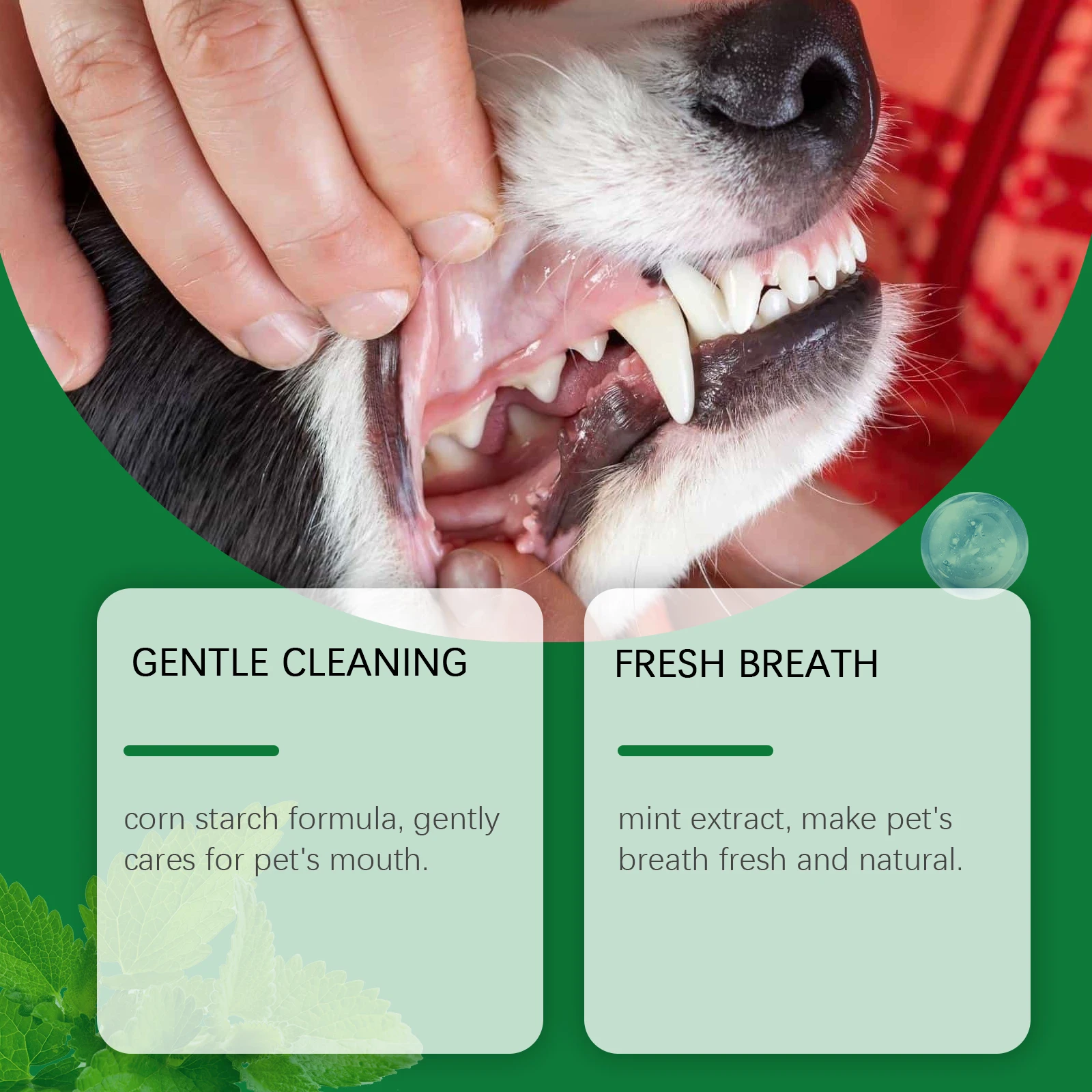Polvo de limpieza de dientes p - Teeth Whitening Ulta reseña y precio