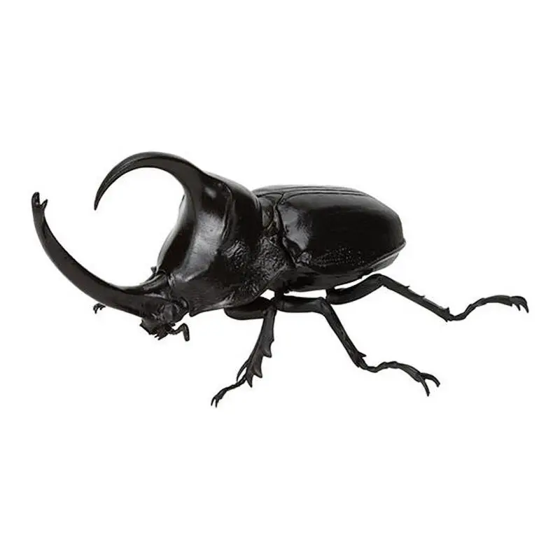 Bandai Twisted Egg Biological Big Picture Beetle Collection 09 Unicorn Fairy Big Dipper Simulation Insect Ornament In Stock