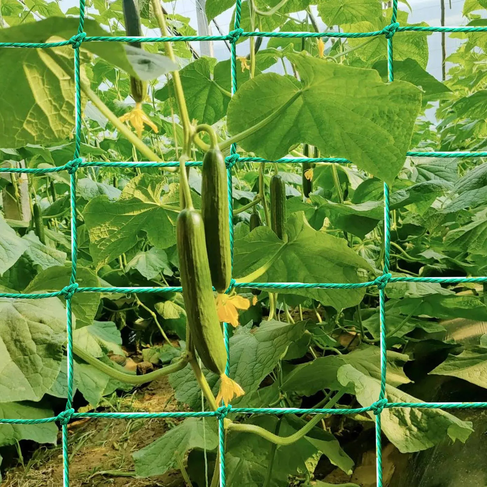 

Trellis Netting Outdoor Heavy Duty Plant Climbing Netting Plant Net for Cucumber Tomato Fruit Vegetables Duty Garden Trellis Net