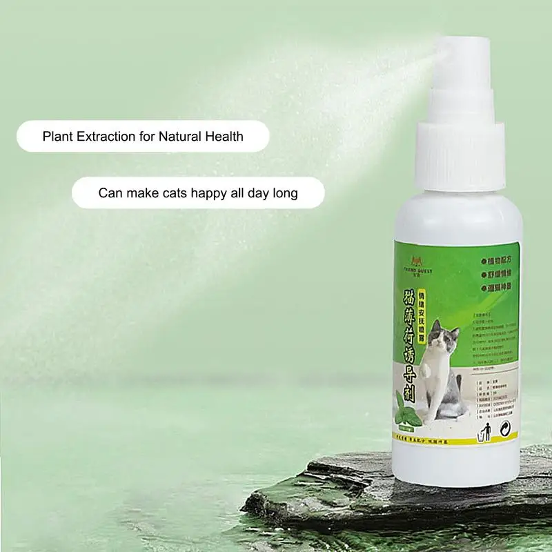 50ml Cat Catnip Spray Healthy Ingredients Catnip Spray For Kittens Cats & Attractant Easy To Use & Safe For Pets Gifts For Pets