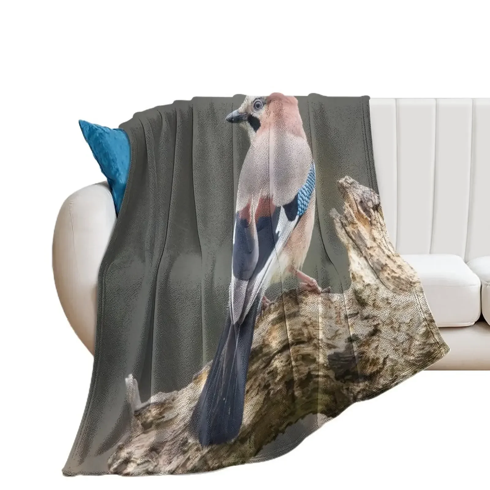 

Eurasian Jay #1 Throw Blanket for sofa Blankets For Bed Blankets