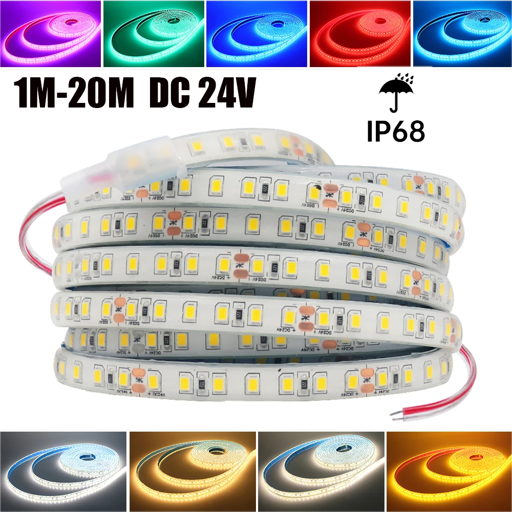 แถบไฟ LED กันน้ำ IP68 24โวลต์/ม. สีแดงสีฟ้าน้ำแข็งสีเขียวสีขาวสีชมพูสีเหลืองของตกแต่งสวนที่บ้านมีความยืดหยุ่นริบบิ้นเชือกยาว1เมตร-20เมตร