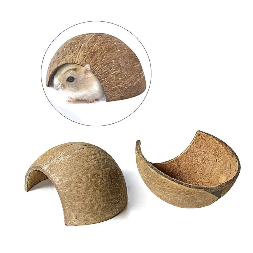 Nid pour hamster en coquille de noix de coco naturelle, résistant aux morsures, cachette pour petits animaux, habitat pour reptiles, cachette pour cochon d'Inde