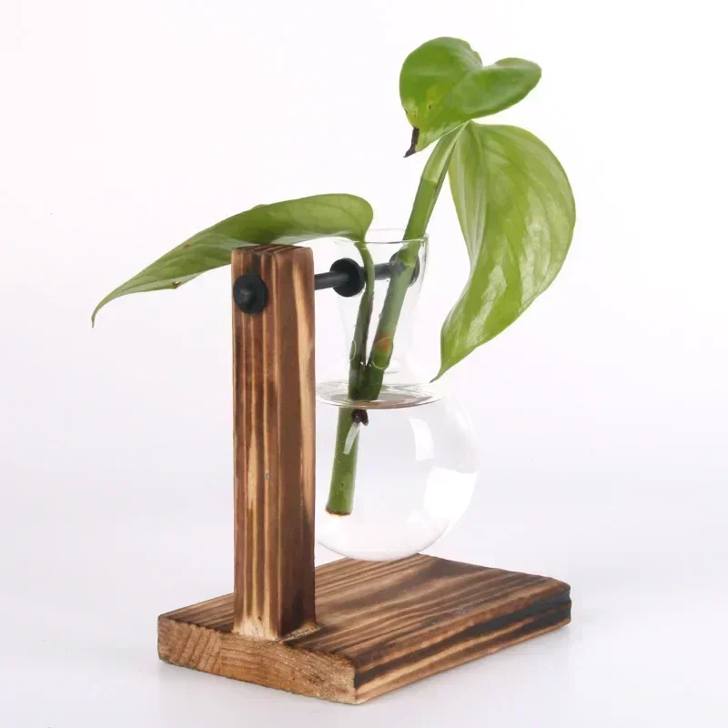 Hydroponic Glass Vase 5