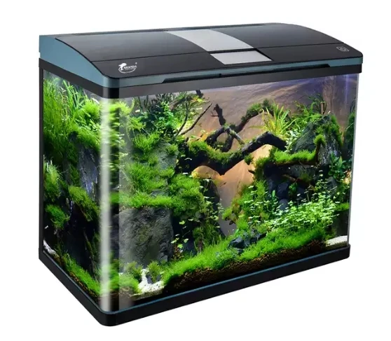 

Ultra Clear Glass Aquarium Fish Tank with internal sump bottom filtration