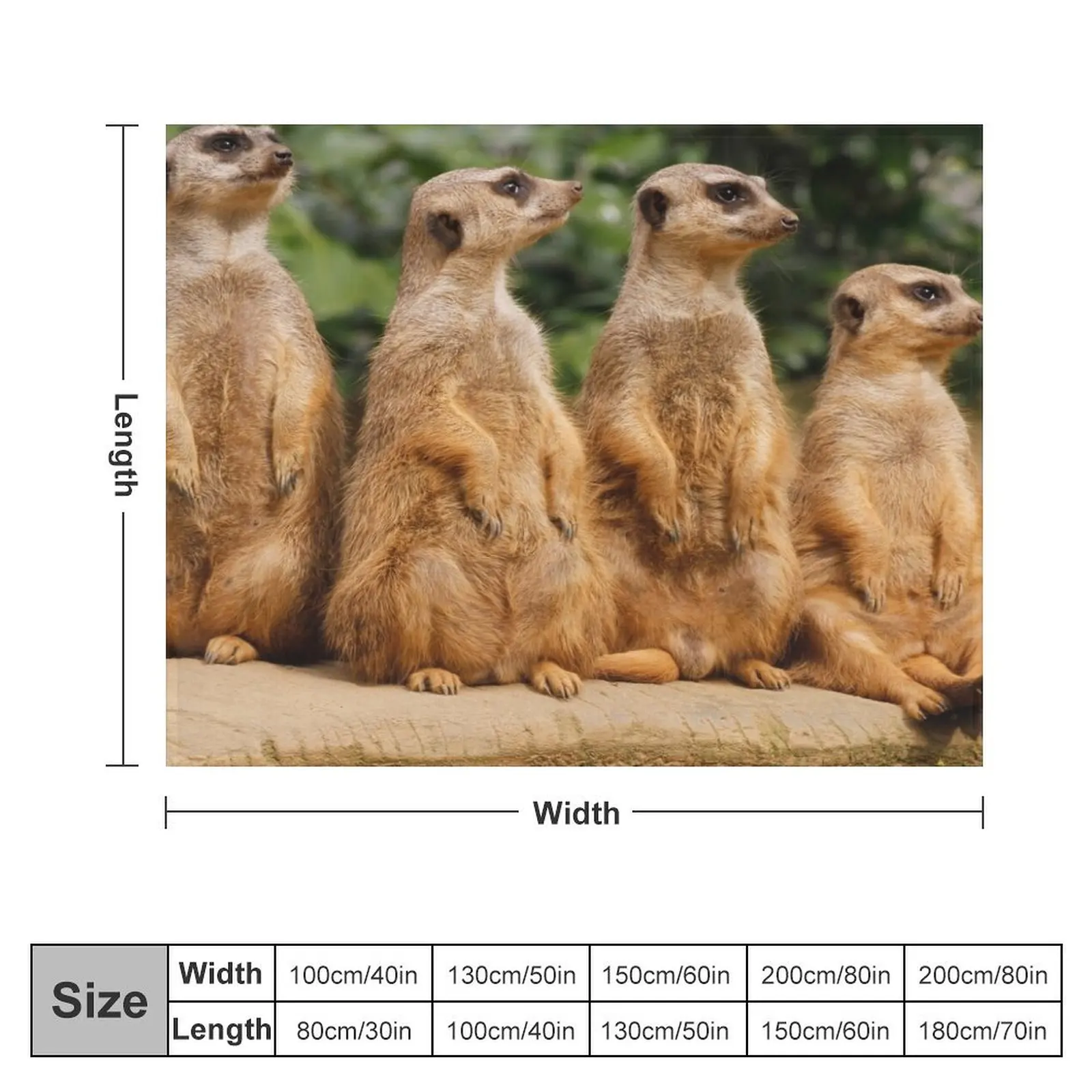 Meerkat 018 Throw Blanket funny gift Sofa Throw Blankets