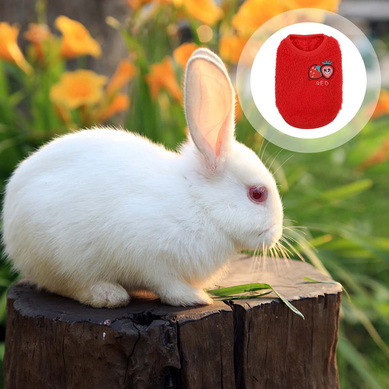 

1Pcs Pet Rabbit Clothes Solid Color Small Puppy Rabbit Garment Warm Winter Outdoor Wear Charming Stylish Printed Fabric