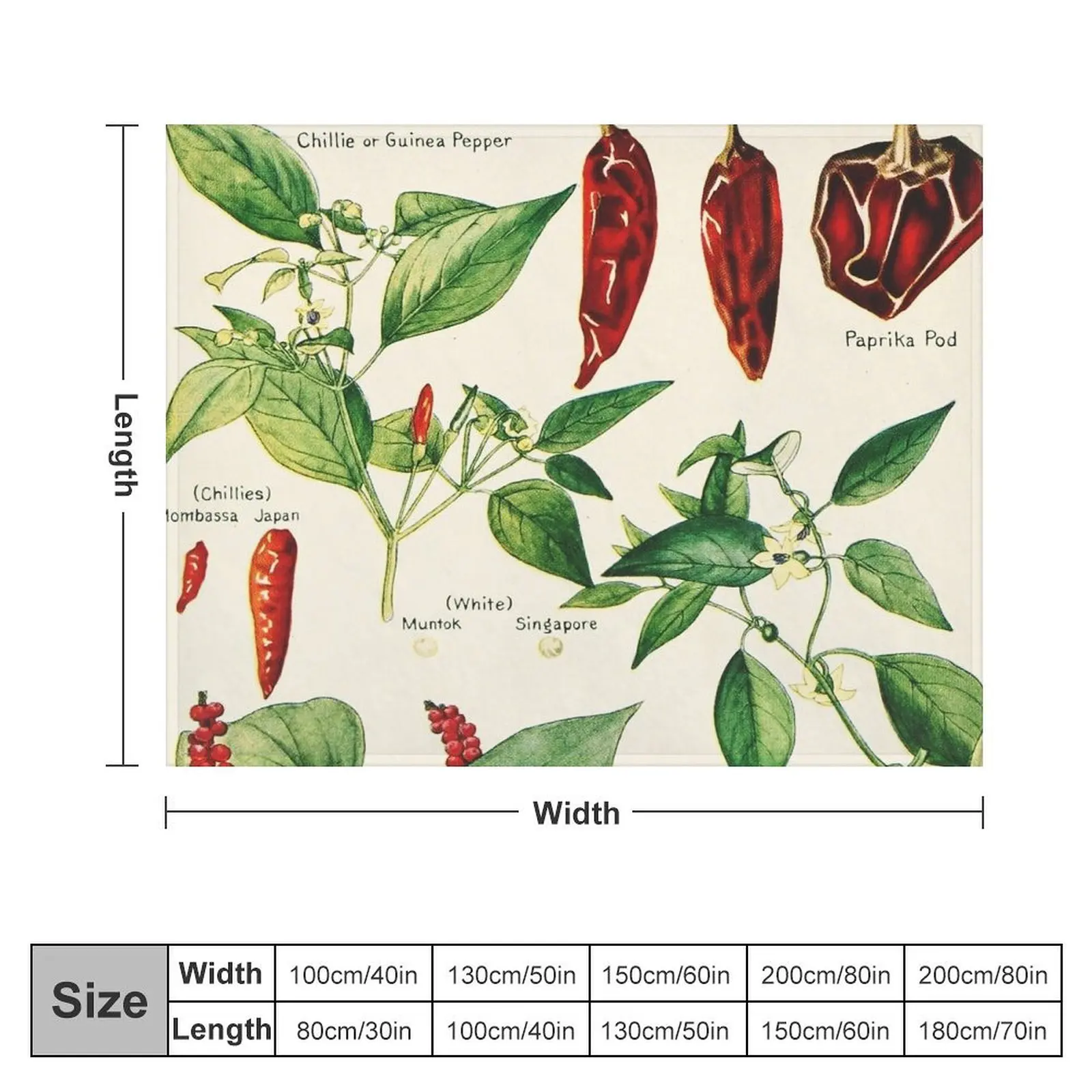 Capsicum chillies pepper - Vintage botanical illustration Throw Blanket Cute Plaid wednesday Decorative Sofas Blankets