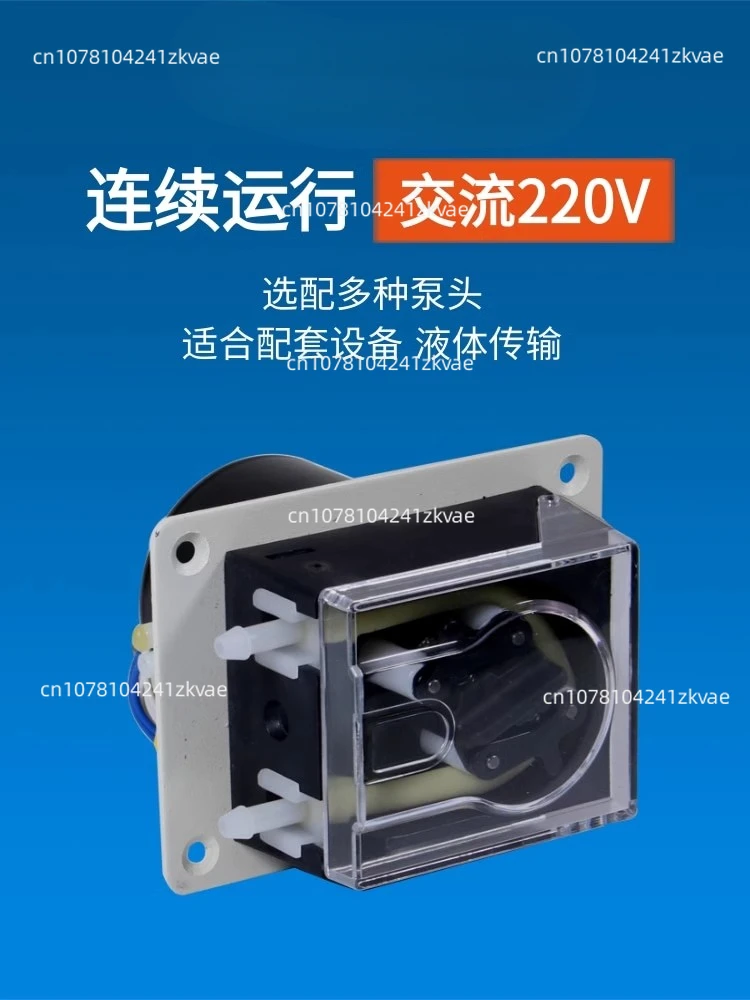 G5-1J + TH15 Small 220V AC Motor Flue Gas Online CEMS Long Life Drainage  Peristaltic Pump