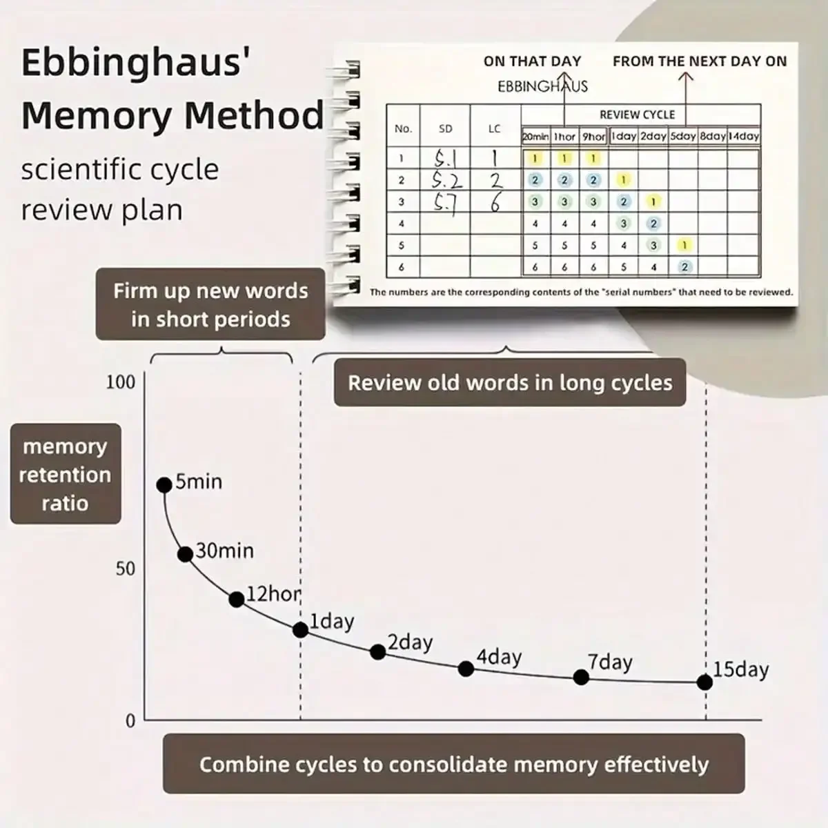 2 stks/set Draagbare Woordenschat Geheugen Kladblok Shorthand Spiraal Notebook voor Planning en Memoratie met Cover-Up Functie