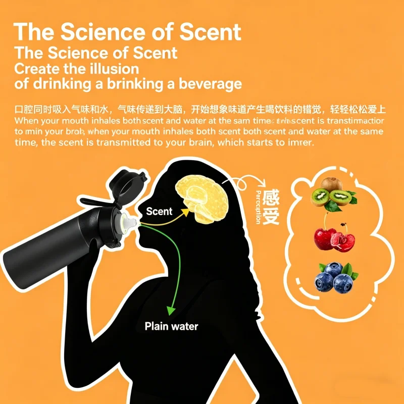 LUSQI 50 szt./1 szt. Sześcioką – Misting Bottle Fine recenzja i cena