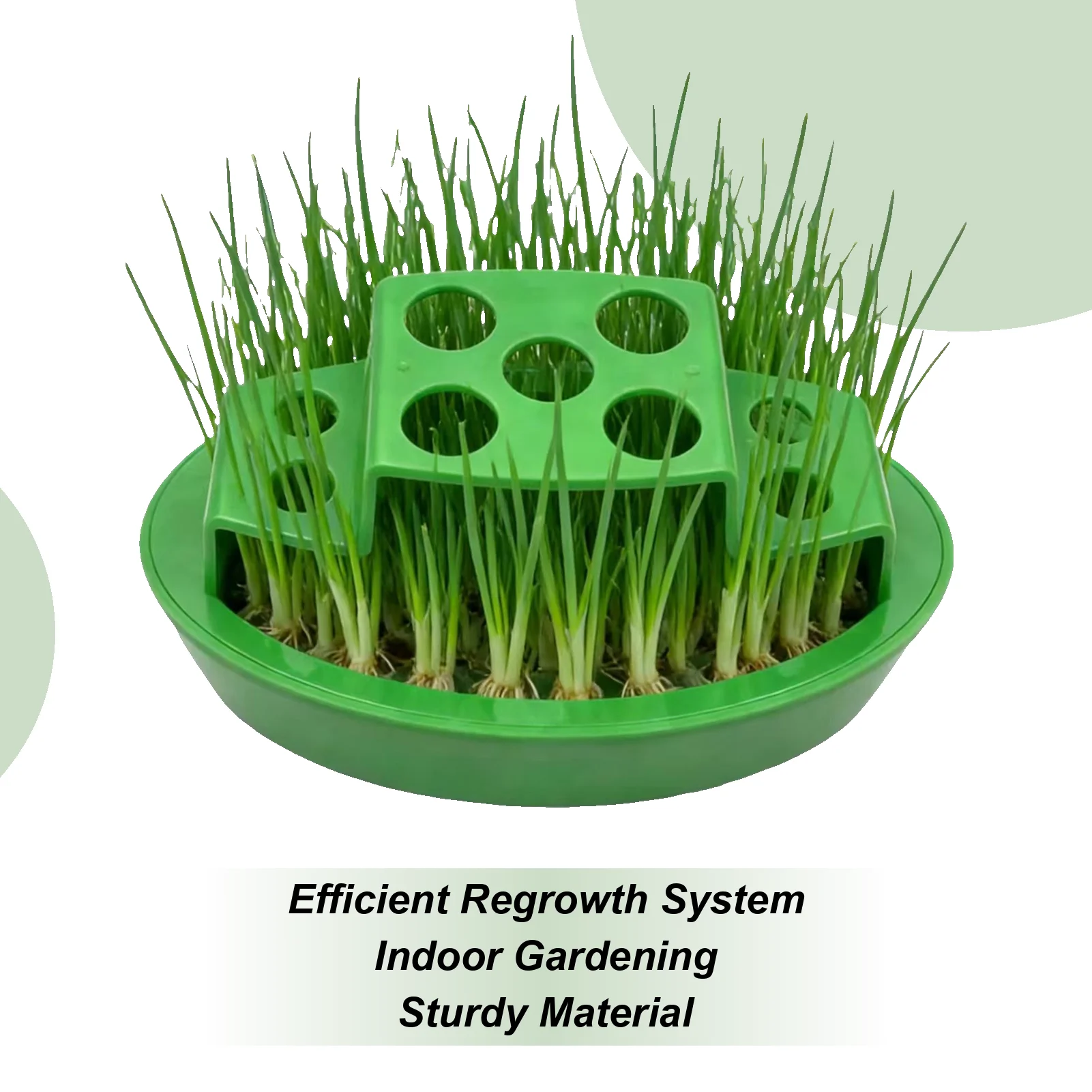 Hydroponic Onion Planter Hydroponic Container Onion Planter For Window For Scallion Regrow Kitchen Windowsill Counter Balcony