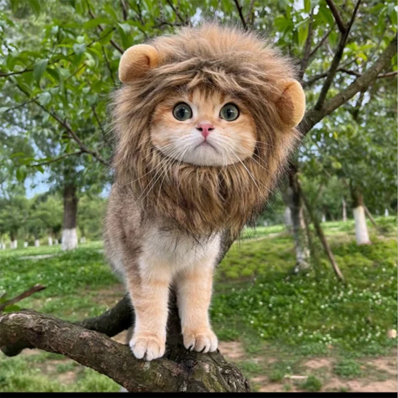 Cute Lion Mane Cat Wig Hat Funny Pets Clothes Cap Fancy Party Dogs Cosplay Costume Kitten Hat With Ears Accessories Cat Costume