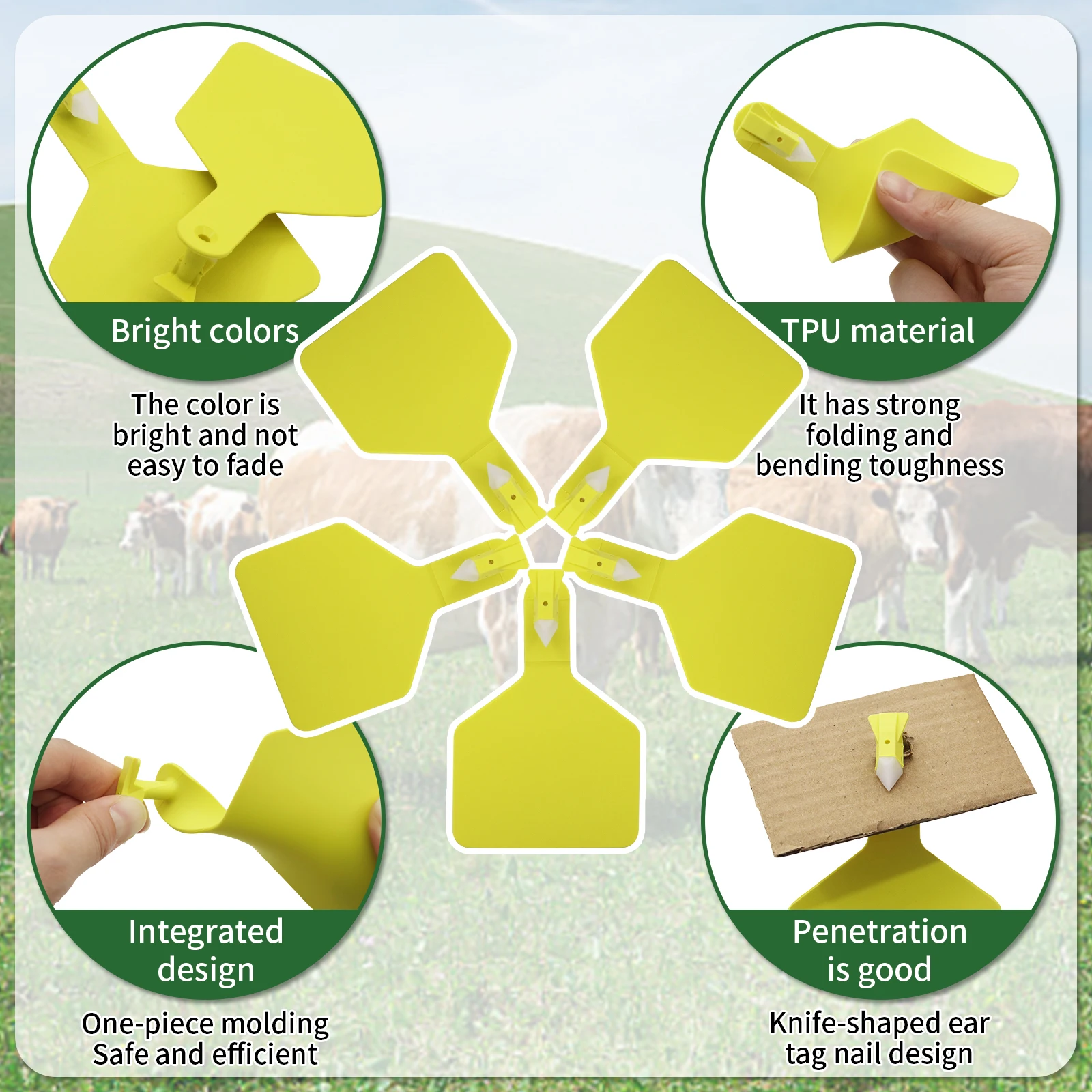 50 قطعة/الحزمة الماشية الماشية الأذن العلامات علامات دون كلمات أدوات تحديد الحيوان علامة كماشة البقرة خنزير الحصان الماعز الأغنام علامة