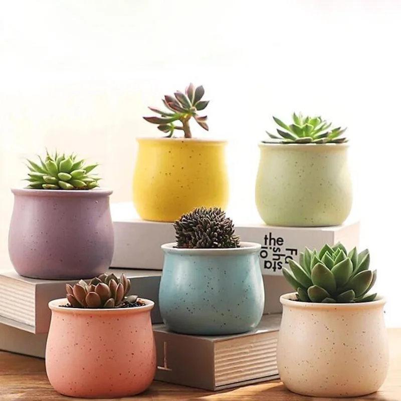 6 Colors Simple Pure Color Ceramic Planter Fleshy Plant Pot Flower Plant Vase Micro Landscape Home Garden Decoration