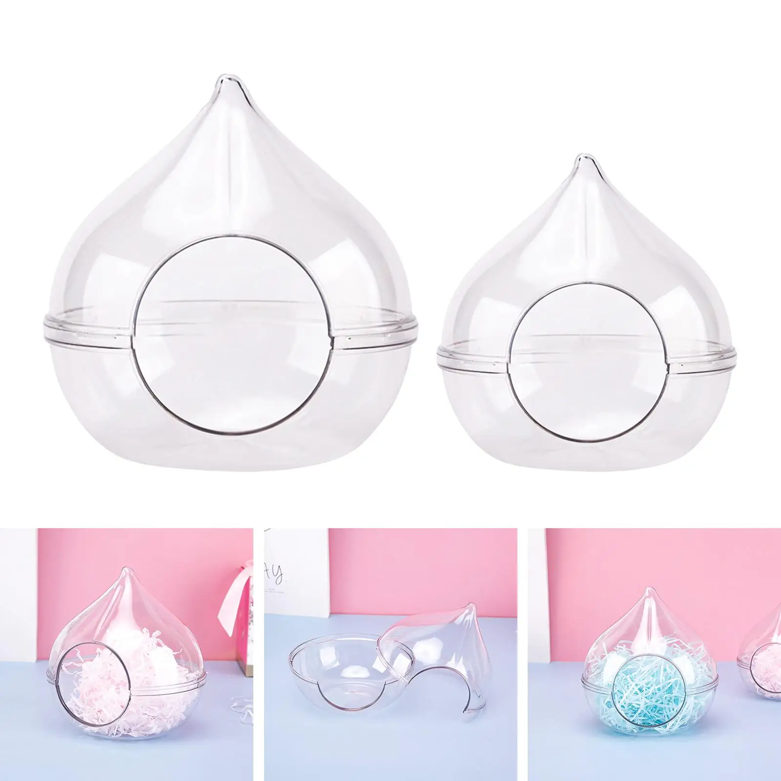 Transparent Hamster… - image