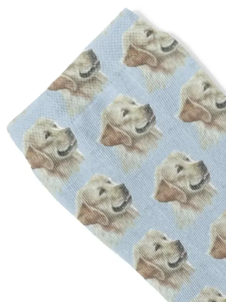 Golden labrador Socks valentine gift ideas Running christmass gift Woman Socks Men's