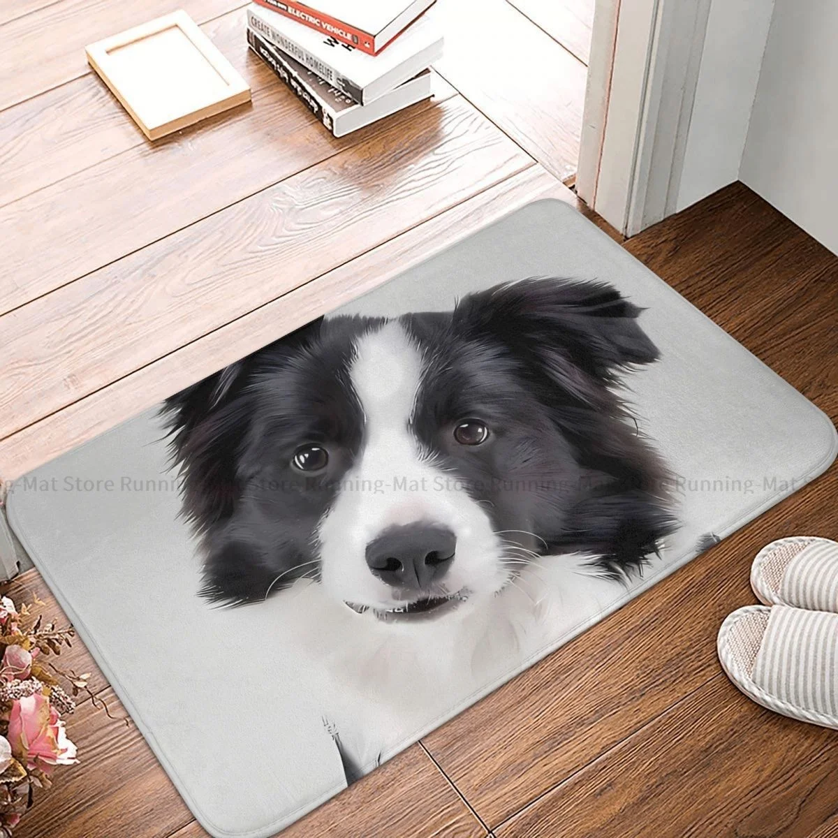 Bedroom Mat Border Collie Colorful Doormat Living Room Carpet Entrance Door Rug Home Decor