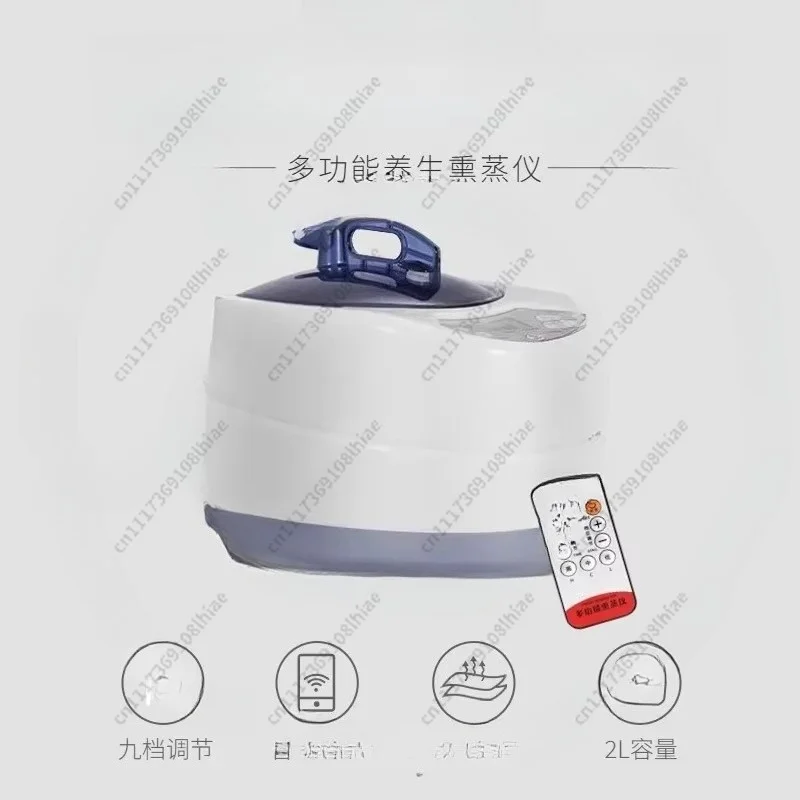 Steam Generator 220V/110V EU US Plug 1000W Upgrade Capacity 2L Home Steamer Pot for Sauna Water Vapor