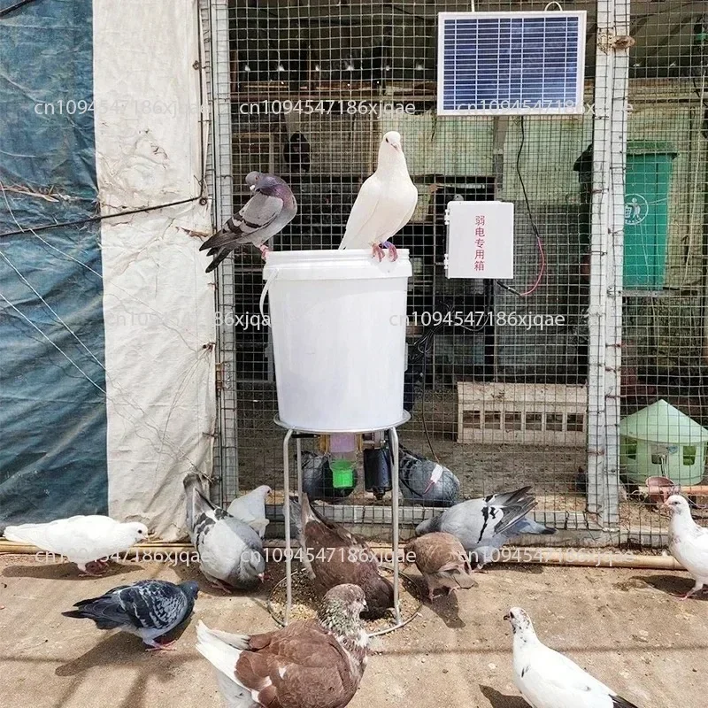 

Автоматический дозатор пищевых продуктов, кормушка, принадлежности для птиц с таймером и количеностями, посуда и кормушки 64124dfb31