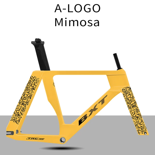 BXT 195 T1000 Carbon Track Frame Fixed Gear Track Bike Carbon